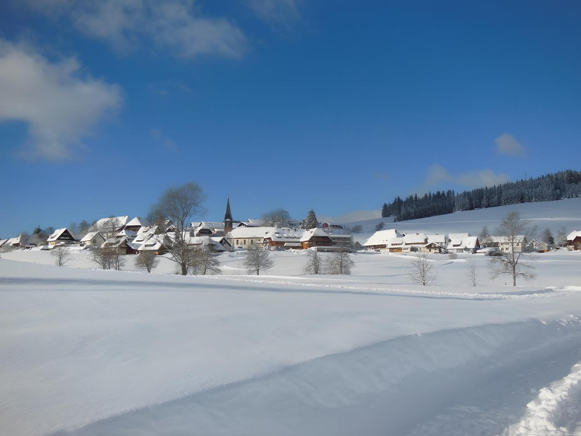 Ferienhaus Kaltenbach Titisee-Neustadt Eksteriør bilde