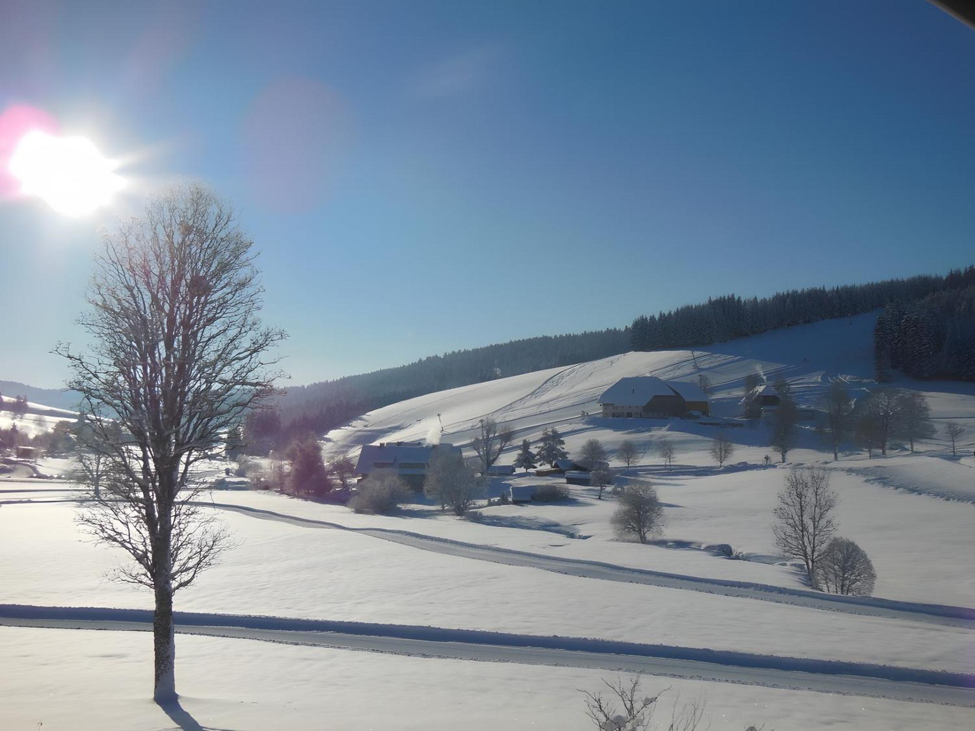 Ferienhaus Kaltenbach Titisee-Neustadt Eksteriør bilde