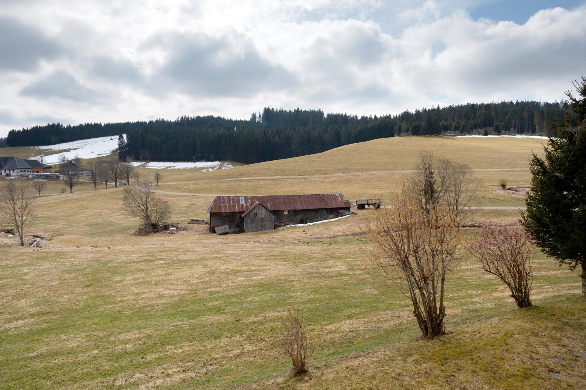Ferienhaus Kaltenbach Titisee-Neustadt Eksteriør bilde