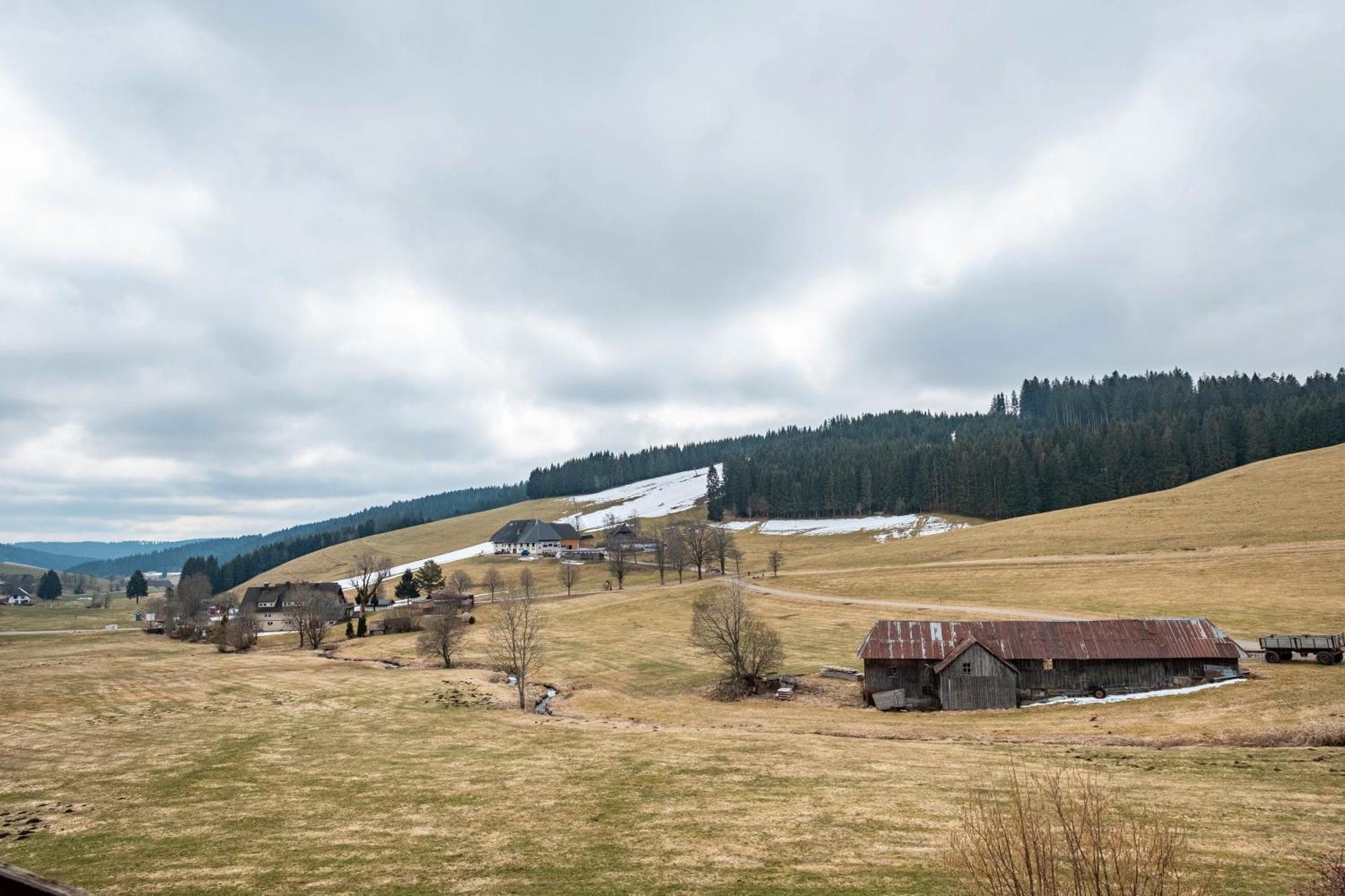 Ferienhaus Kaltenbach Titisee-Neustadt Eksteriør bilde